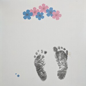 Juliette Little Lion